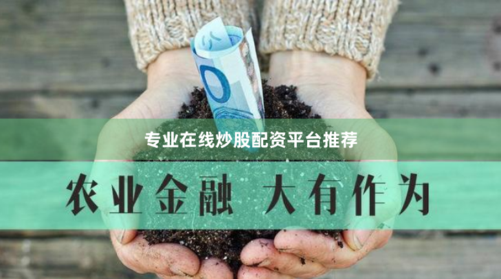 专业在线炒股配资平台推荐